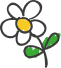 Flower Graphic