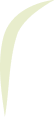 Program Card Top Border